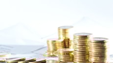 Coins on financial report