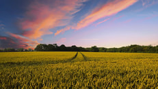 countryside-2326787_960_720