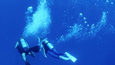 divers