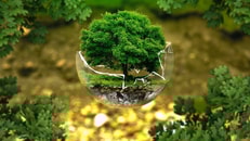 Environmental protection 326923 1280