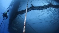 Fish farming,aquaculture nets2