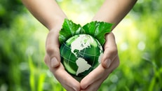 green world concept