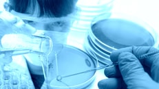Image of research worker at the lab