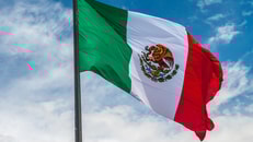 Mexico Flag