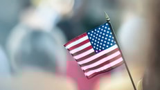 Mini American flag