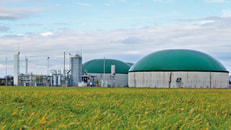New applications for sustainable development BIO Mass