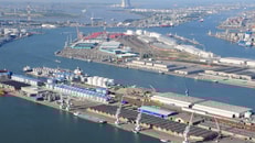 port-of-antwerp-index