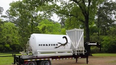REEXPORTScorpion Photo