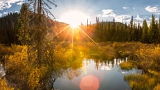 shutterstock_1153075439