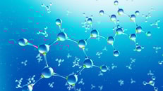 shutterstock_1190781124