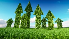 shutterstock_1194256762