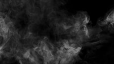 shutterstock_573039199