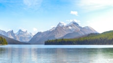 shutterstock_594767375