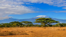 shutterstock_706417705
