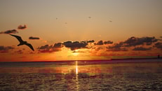 sunset-3915472_960_720