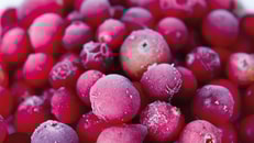Trends in food processing equipment in the us part 1 chart