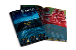 Issue 217 May 2023 – Packaged Gases mock up