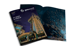 gasworld US Edition, Vol 61, No 02 (February) – Air gases & medical mock up