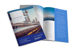White paper: How gas analysis can drive the clean industrial revolution