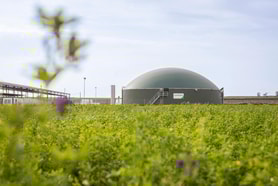 World Biogas Summit: Financing biogas hinges on certification, transparency and trust