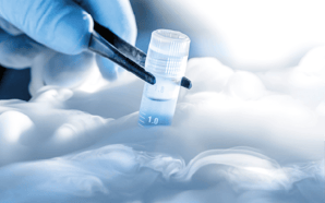 Cold chains in life sciences