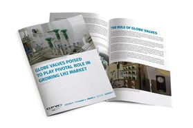 Globe Valves poised to play pivotal role in growing liquid hydrogen market