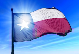 US LNG on the move as Coastal Bend LNG begins Texas facility