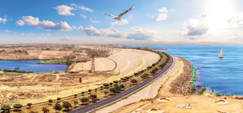 Green ammonia at scale: Will the ammonia economy overtake the hydrogen economy?
