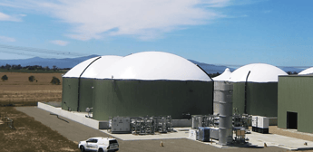Delorean secures A$6.1m ARENA grant for bioenergy upgrade