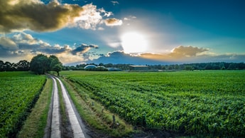 $15m biogas plant to support sustainable farming in Sweden