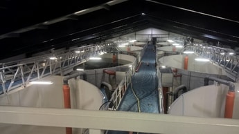 Oxymat PSA oxygen generators boost fish farming success