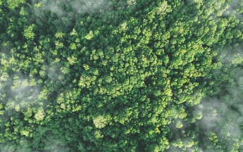 Direct air capture will soon add to CO2 supply