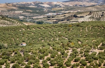 Moeve to invest €600m in 30 Spain biomethane plants