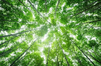 Air Water commits to better nature and biodiversity reporting