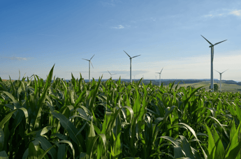 Wind turbines and corn fields: new technology for carbon to fuel