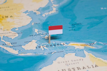 Energy firms explore co-firing low carbon fuels in Indonesia