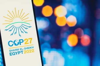 COP27: What’s happened so far?