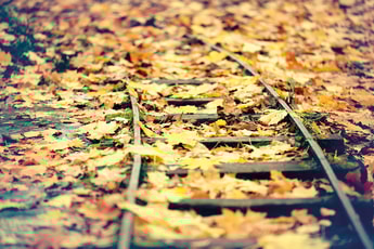 Turning over a new leaf