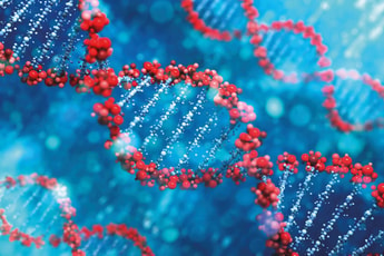 Cracking the code in life sciences: Celebrating 70 years of DNA