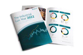The Industrial Gas Year: 2022