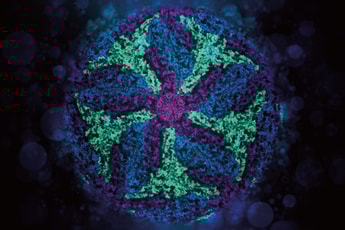 Unravelling life: Cryo-EM continues to open up discoveries about diseases