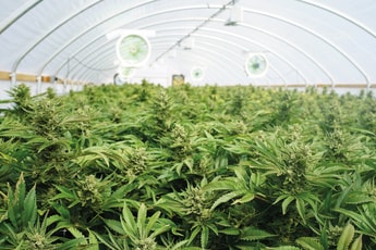 CO2 GRO to support Canadian cannabis producer with CO2 solutions