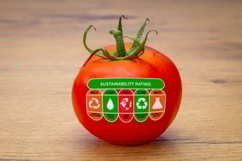 Norway’s tomato capital to catch up with carbon neutral veg push