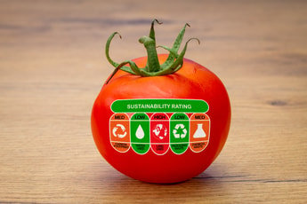 Norway’s tomato capital to catch up with carbon neutral veg push