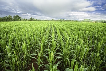 Navigator CO2 sign deal to capture and storage carbon from Iowa biorefineries