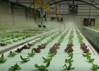 CO2GRO: Enriching protected growth with a ‘magic’ CO2 mist