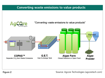 The Economics of Carbon Capture