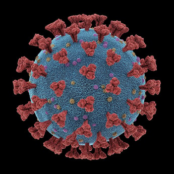 Coronavirus: Xebec deemed “essential business”