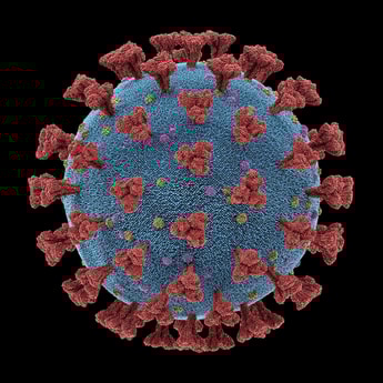 CGA advice on coronavirus