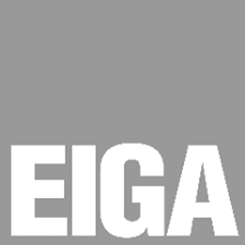 EIGA Winter Seminar 2019